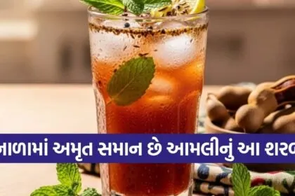 Tamarind Sharbat