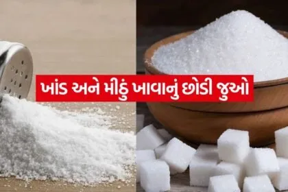 Salt 2505