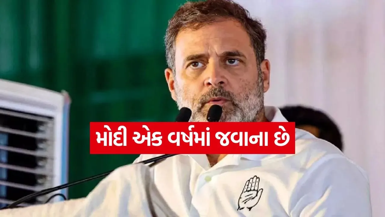 Rahul Gandhi 2505.jpg