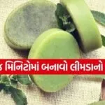 Neem Soap 2505