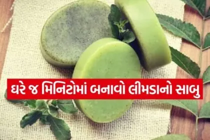 Neem Soap 2505
