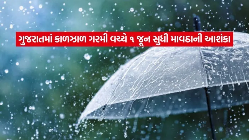 dharmishtha 1 13