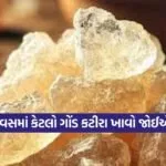 Dharmishtha 14