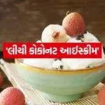 Litchi ice cream 2505