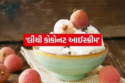 Litchi ice cream 2505