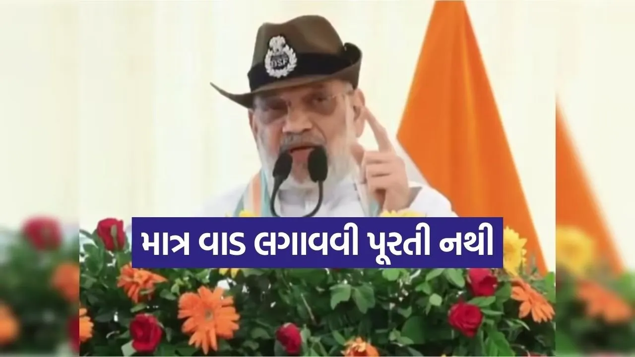 Amit shah 2505.jpg