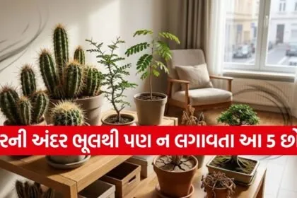 Vastu Tips