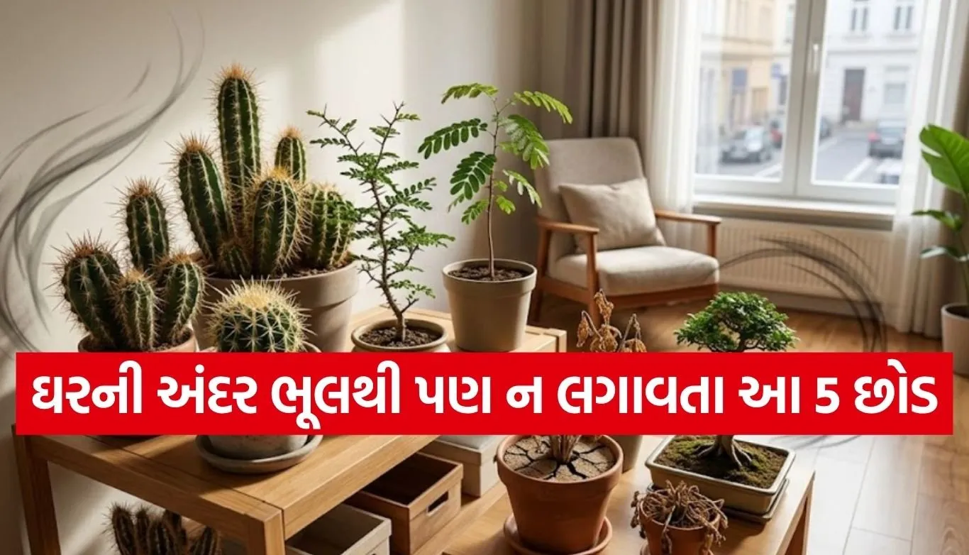 Vastu Tips