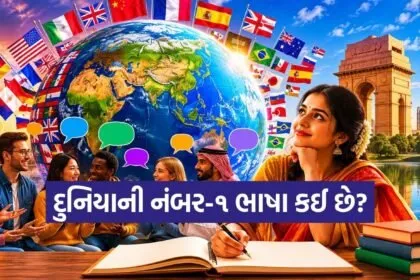 Top Languages