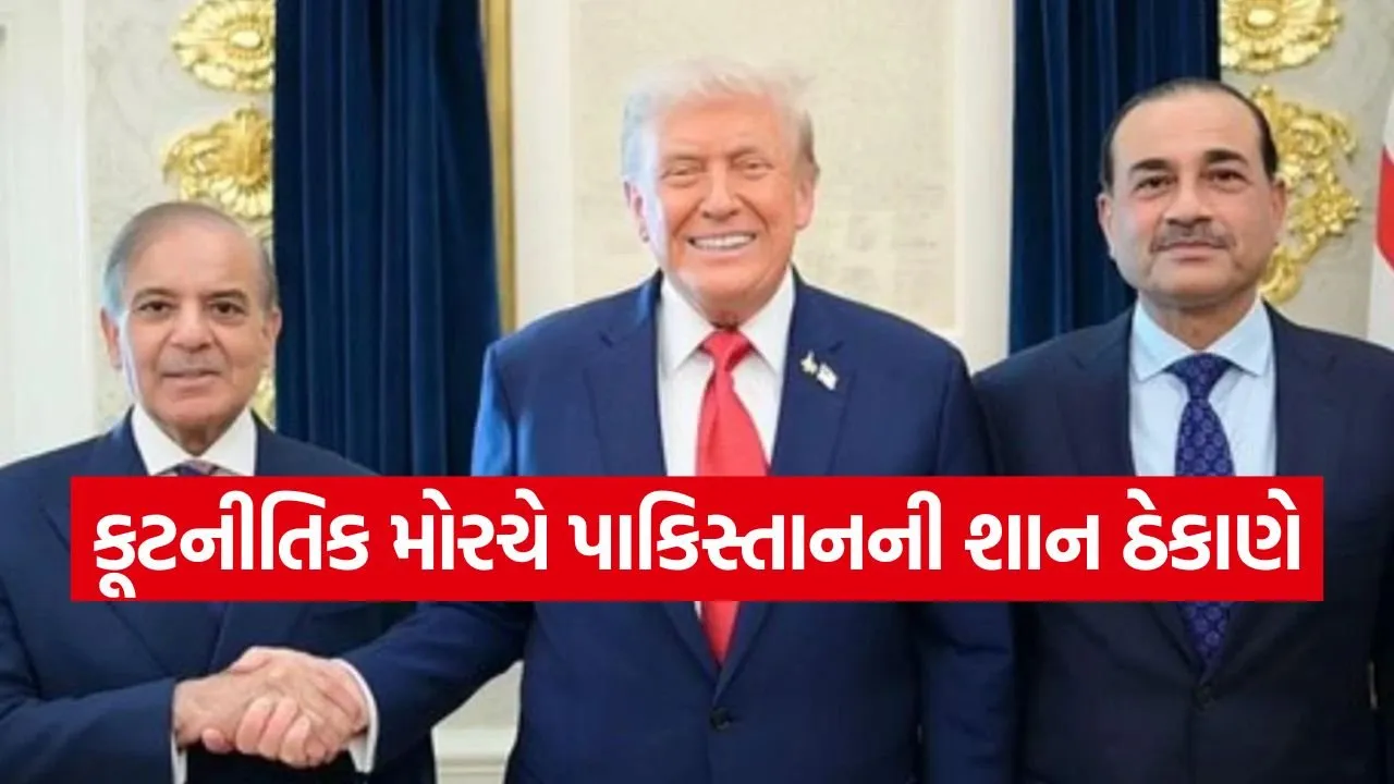 TRUMP 2505.jpg