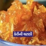 Dharmishtha 9