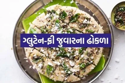 Jowar Dhokla 2505