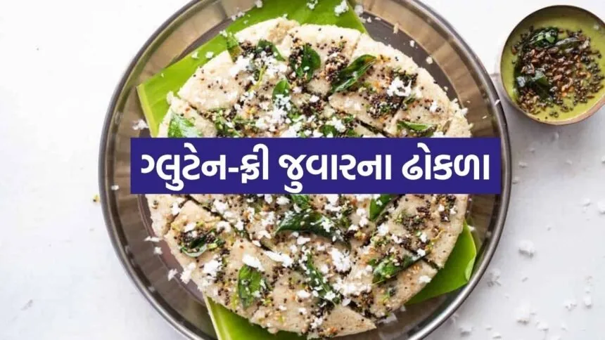 Jowar Dhokla 2505