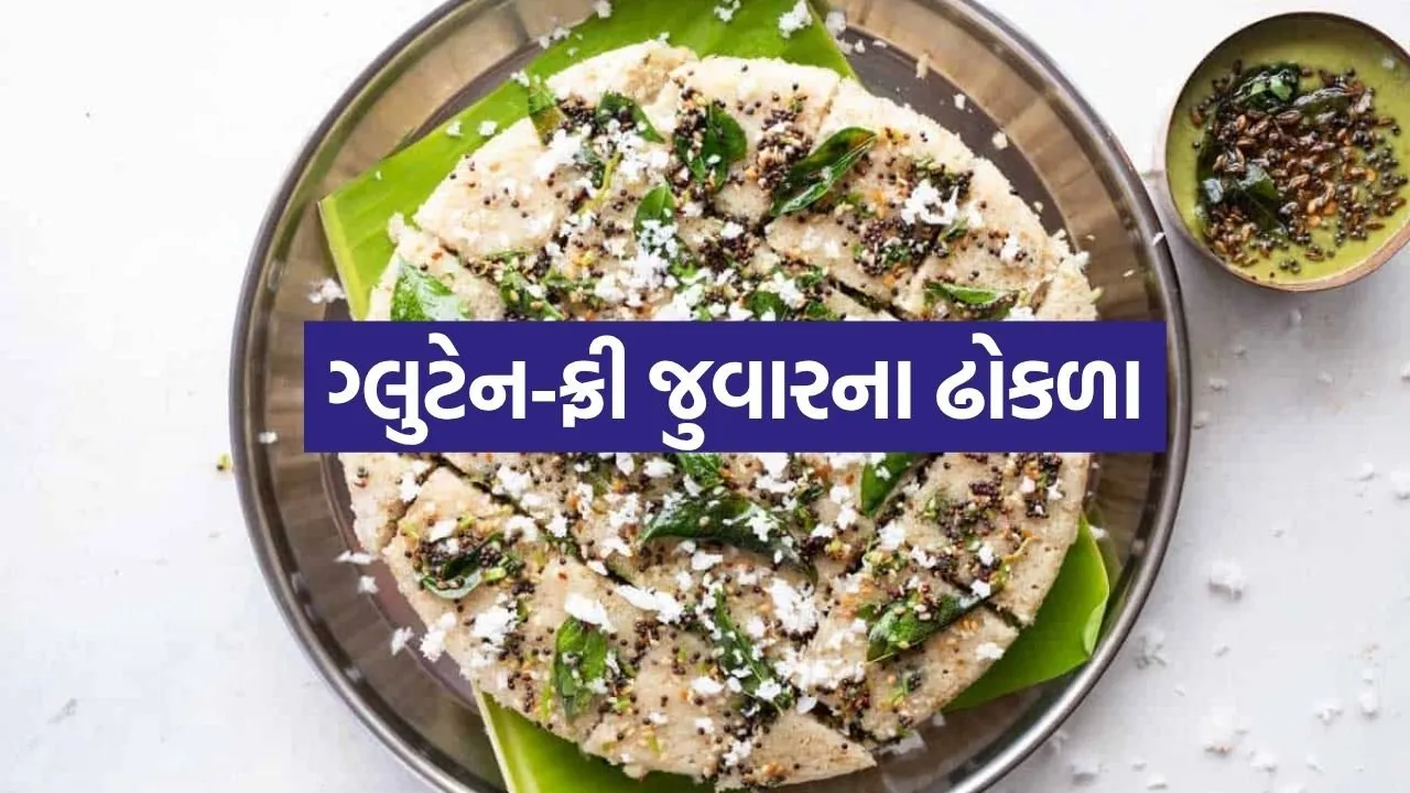 Jowar Dhokla 2505.jpg