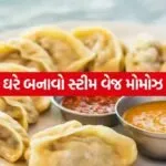 veg momos 2805