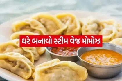 veg momos 2805
