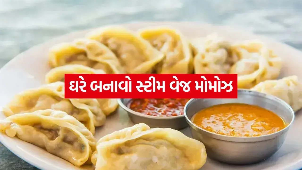 veg momos 2805.jpg