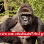 dharmishtha 1 14