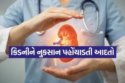 Kidney 2905