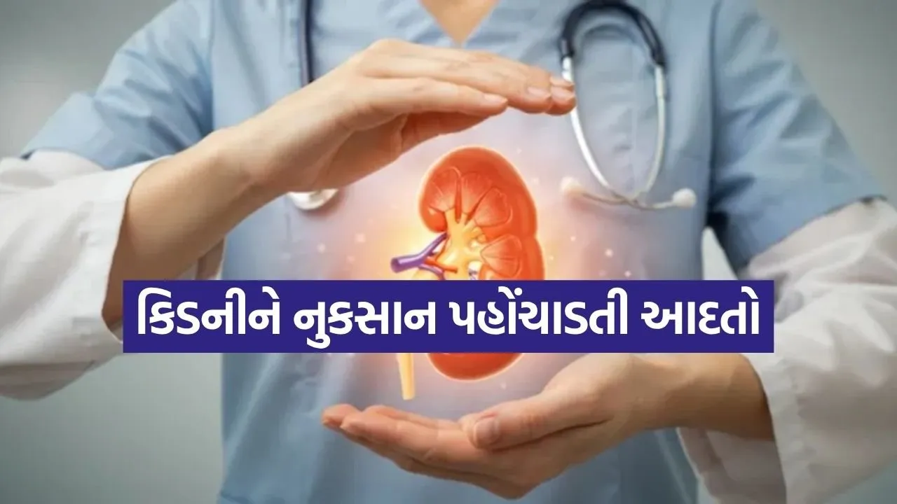Kidney 2905.jpg