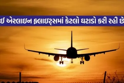 airline 2905