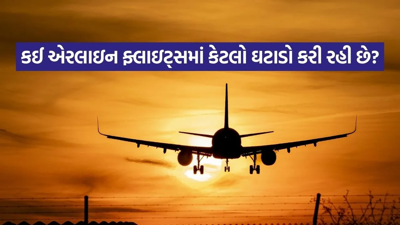 airline 2905.jpg