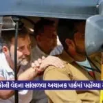 dharmishtha 1 28