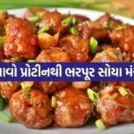 Soya Manchurian 3005