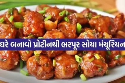 Soya Manchurian 3005