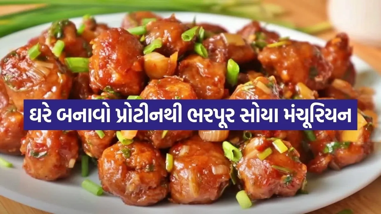 Soya Manchurian 3005.jpg