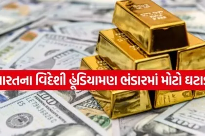 Forex Reserve 3005
