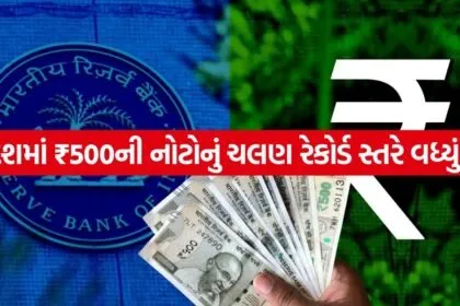 RBI 3005