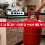 Lpg Gas 3005