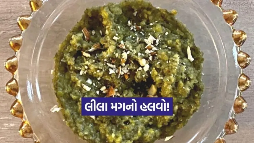 Dharmishtha 9