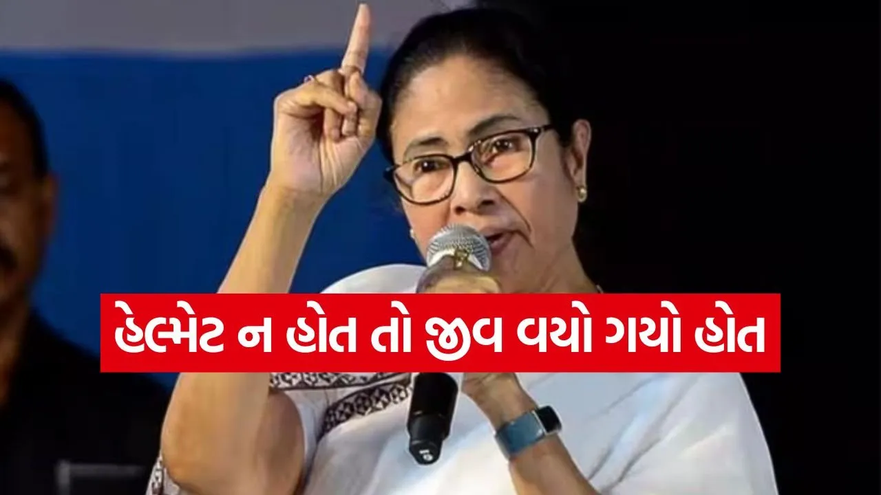 Mamta 3005.jpg