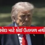 Trump 3105