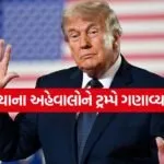 Trump 3105 2