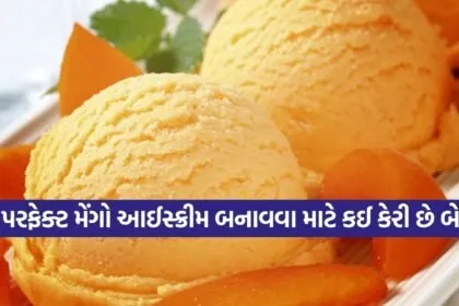 Mango Ice Cream