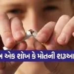 India 2026 06 01T112016.197