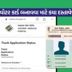 Voter card 0206