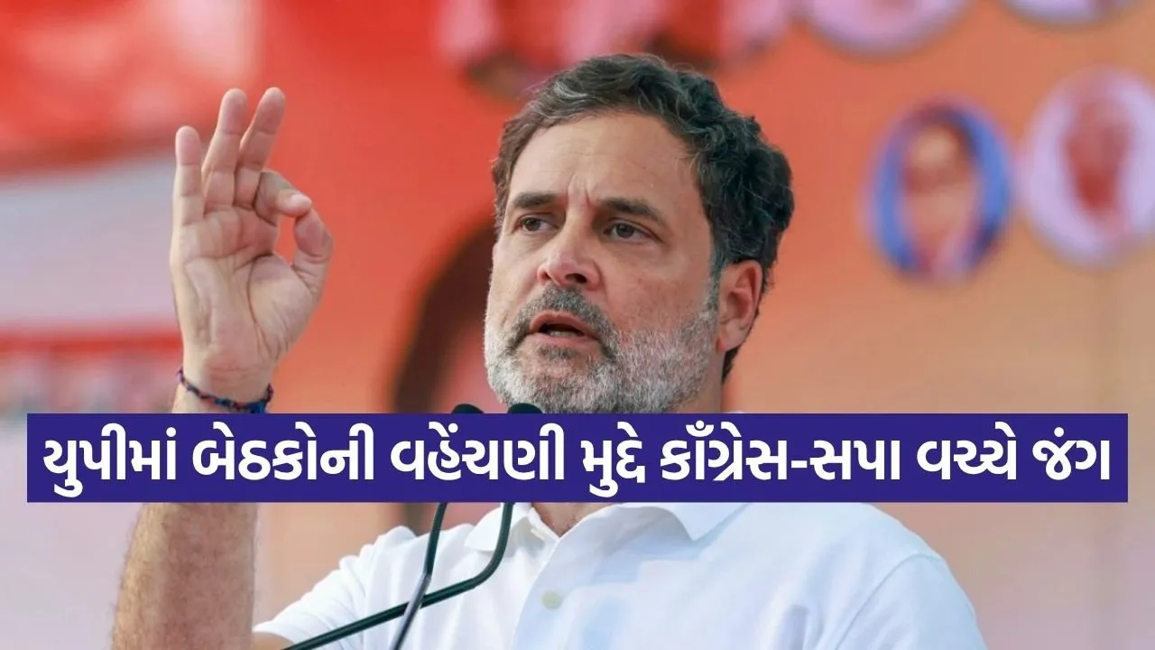 Rahul Gandhi 0206.jpg