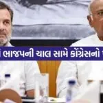 Rahul Gandhi 0206 1