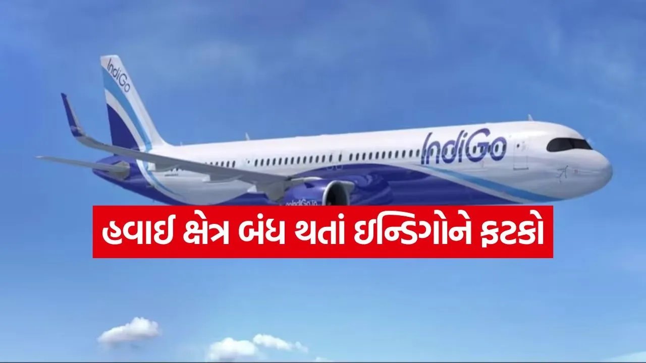 Indigo 0206.jpg