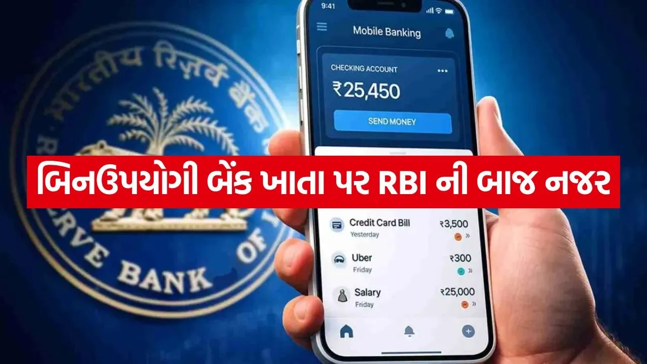 RBI 0206.jpg