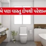 India 2026 06 03T094036.041