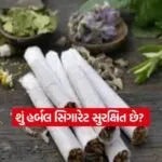 dharmishtha 1 20