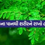 Moringa 0406