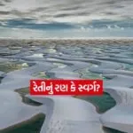 dharmishtha 1 8