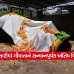 Dharmishtha