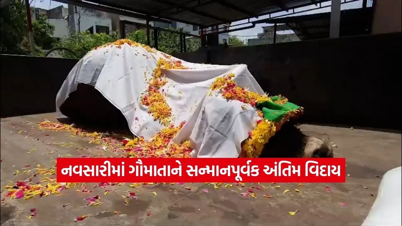 Dharmishtha.jpg